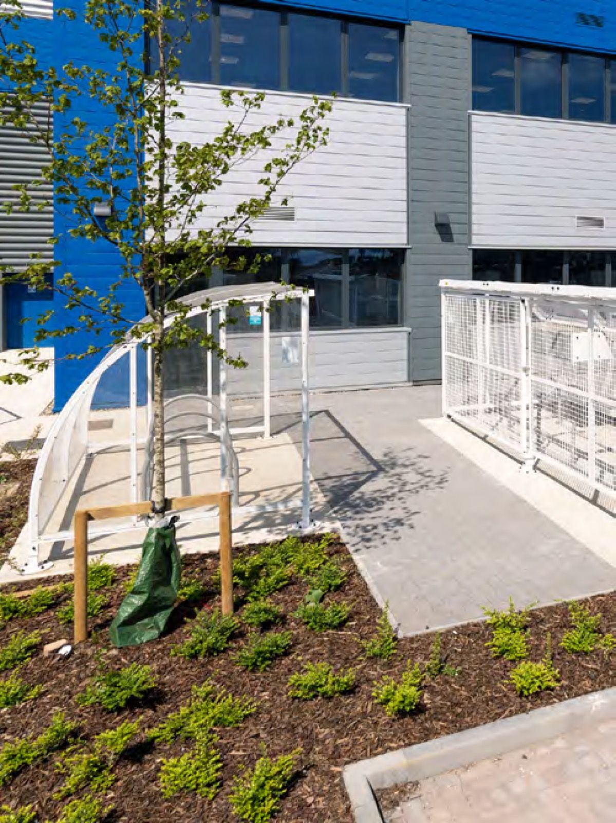 Office entrance and cycle parking